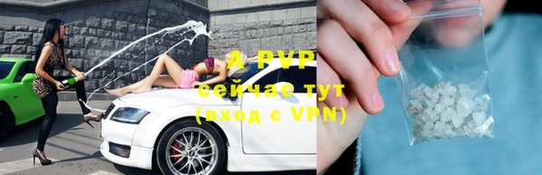 СК Ладушкин